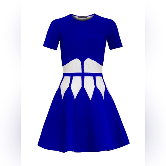 New $2.6K Alexander McQueen Corset-Intarsia Stretch-Knit Dress in Blue size M - Picture 1 of 6
